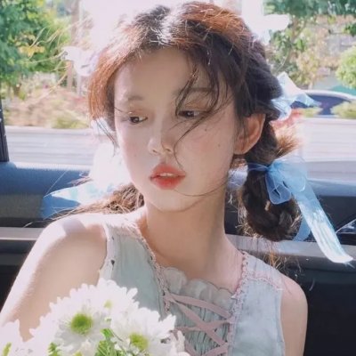 成凰录